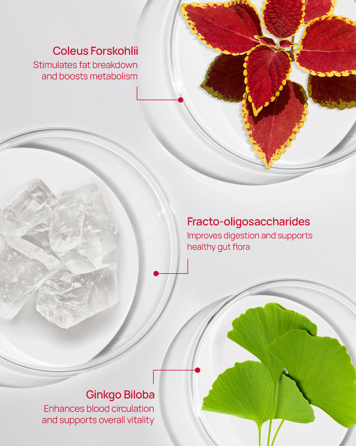 Coleology Drink Mix 3ea
